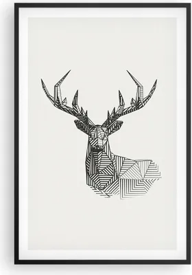 Produktbild von Gerahmtes Poster - Schwarzer Rahmen - Hirsch Skizze Skandinavisch - 61x91,5 cm - Wand Bild - Wanddeko - Wandbilder - Kunstposter - Wandposter - Bilderrahmen - Bilder - Kunstdruck - P2BPA61x91-4950