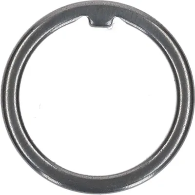 Immagine prodotto di SHIMANO Schutzring SG-C3000-7C - 3000-7