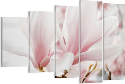 Produktbild von Bild auf Leinwand - Leinwandbild - 5 Teile - Zweig Magnolie Blume - 150x100cm - Wand Bild - Wanddeko - Wandbilder - Leinwanddruck - Bilder - Wanddekoration - Leinwand bilder - EG150x100-4538