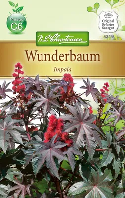 Produktbild von Wunderbaum Impala | Blumensamen von N.L. Chrestensen