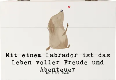 Produktbild von Mr. & Mrs. Panda Holztruhe Labradorleben 22 x 15 cm - Weiß - Geschenk, Labrador, Abenteuer, fotobox, Hunde, schatztruhe, Truhe, Therapiehund, Familienhund, Hunderassen