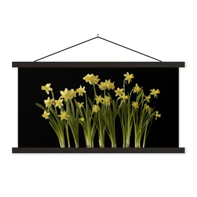 Produktbild von MuchoWow® Textilposter Mehrere Narzissen mit Zwiebeln auf schwarzem Hintergrund 60x30 cm mit schwarzem Rahmen - Textilien