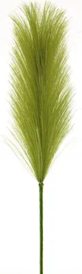 Produktbild von artplants.de Dekozweig Pampasgras Rispe WENXUE, grün, 40 cm - Deko Grasbüschel