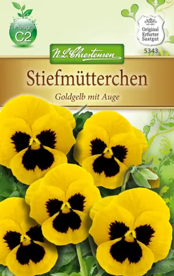Produktbild von Stiefmütterchen Goldgelb mit Auge | Stiefmütterchensamen von N.L. Chrestensen