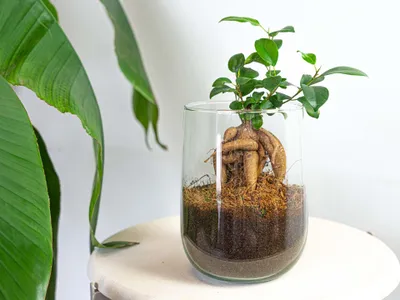 Produktbild von Vase Martin - DIY-Set - ↑ 17 cm