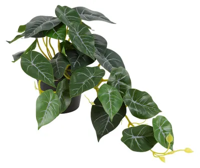 Produktbild von Countryfield Kunstpflanze Philodendron brasil Hängepflanze 23x25x28cm Dekoration