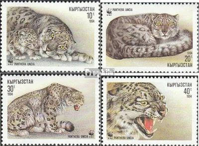 Produktbild von Briefmarken Kirgisistan 1994 Mi 22-25 (kompl.Ausg.) postfrisch Schneeleopard
