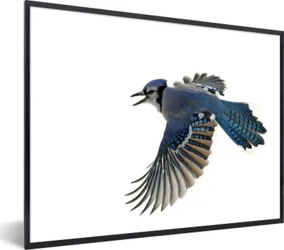 Produktbild von MuchoWow® Gerahmtes Poster Vogel - Federn - Weiß 40x30 cm - Poster mit Schwarzem Bilderrahmen Wandposter Rahmen Foto Bilder - Kunstposter - Wanddekorationen