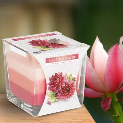 Image de BISPOL Aura 32H CACTUS FLOWER bougie d'arôme en verre