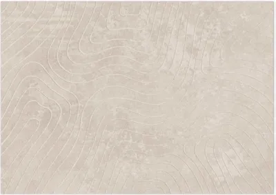 Zdjęcie produktu dla Dywaniki vidaXL PALMERAS, beżowe, 200 x 280 cm, poliester