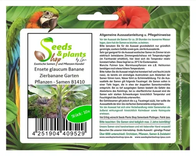 Zdjęcie produktu dla 10x Ensete glaucum Banan Ozdobny Banan Rośliny ogrodowe - Nasiona B1410