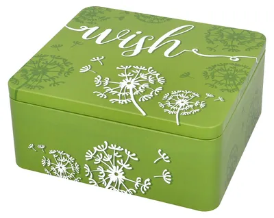 Produktbild von BIRKMANN Geschenkbox mit Spruch, grün, 21 x 19 cm, H 9 cm, aus robustem Weißblech, 439917