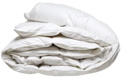 Image de Couette en duvet - 90% duvet - 140x220 cm