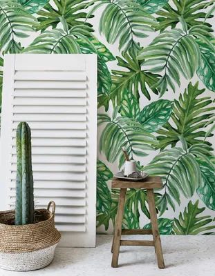 Produktbild von Coloray Fototapete 208x146 cm Vlies-Fototapete - Dschungelblätter