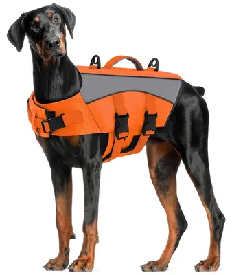 Image de Gilet de sauvetage pour chien - Gilet de natation réfléchissant - Orange - XL - Pour piscine et mer