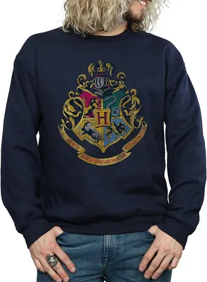 Produktbild von Harry Potter - Sweatshirt für Herren BI1135 (XL) (Marineblau)