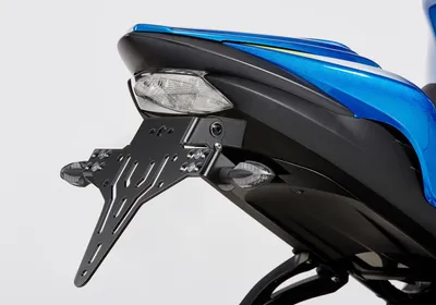 Imagen del producto de Soportes para matrículas PROTECH, compatibles con GSX-S 1000 WVDG, para GSX-S1000 WVDG