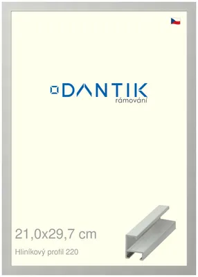 Obrázek produktu pro DANTIK rámeček 21x29,7 | ALU profil 6220 Stříbrná matná (Sklo Čiré)