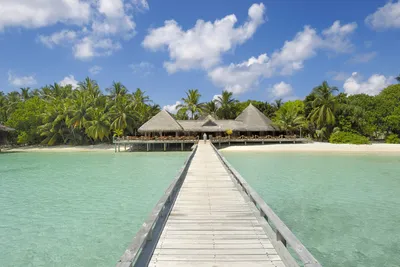 Produktbild von Fototapete - Jetty 375x250cm - Vliestapete