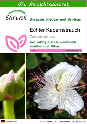 Produktbild von SAFLAX - Echter Kapernstrauch - Capparis spinosa - 25 Samen - Mit keimfreiem Anzuchtsubstrat