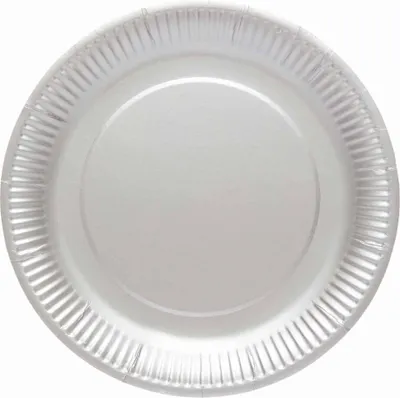 Produktbild von 8 Silberne Eco Pappteller 23cm