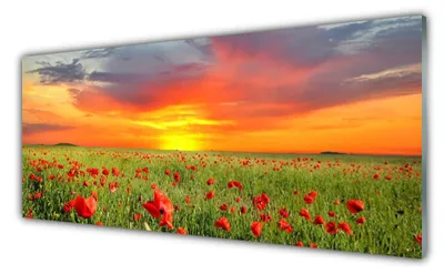 Produktbild von Acrylglasbilder 125x50 Wandbild Druck Mohnblumen Sonne Natur