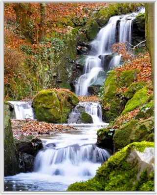 Produktbild von Wallario Wandbild Bach im Wald, Größe: 40,30 x 50,30 cm, Poster mit weißem Aluminiumrahmen