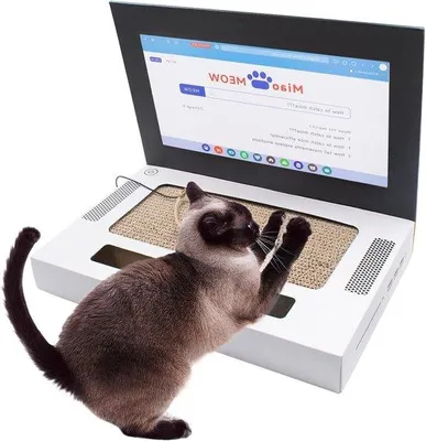 Produktbild von Katzenspielzeug aus Karton, 2-fach, für Indoor-Katzen