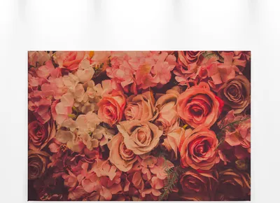 Produktbild von Rosen Leinwandbild Rot Orange 90x60 DD120258 Floral Wandbild Rot Wohnzimmer