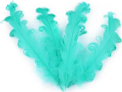 Produktbild von 4 Gänsefedern lockig, 15-18cm, unterschiedliche Farben - DIY Deko Federn, Farbe:türkis
