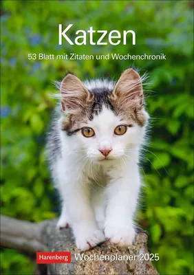Immagine prodotto di Pianificatore settimanale per gatti 2025 - 53 fogli con citazioni e cronologia settimanale