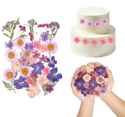 35 getrocknete Blumen zur Torten-Dekoration, lila
