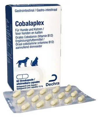 Produktbild von Cobalaplex 60 Kapseln Cobalamin, Vitamin B12, Hund, Katze, Verdauung Präbiotikum