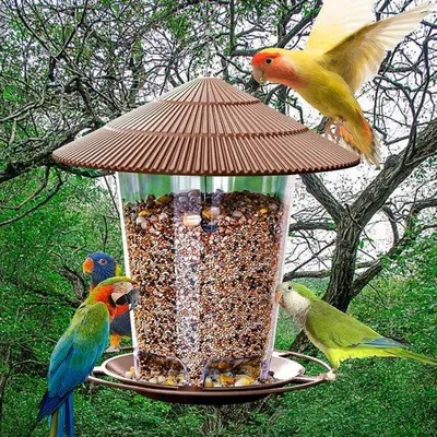Produktbild von Famanu Vogelhaus mit zwei Futterstationen - Wetterfest und ganzjährig nutzbar