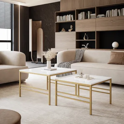 A modern living room with a sofa, bookshelves, and two coffee tables.