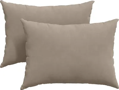 Immagine prodotto di vidaXL Cuscini per divano 2 pezzi Taupe 70 x 50 cm Tessuto