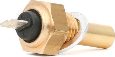 Image de Capteur de température du liquide de refroidissement FAE 31290