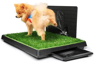 Image de Toilette pour chien d'intérieur - Gazon synthétique - Bac à déchets amovible - 76 x 51 cm