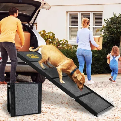 Produktbild von Hunderampe für Autos, klappbar, Einstiegshilfe für große Hunde