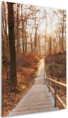 Produktbild von Wallario Premium Leinwandbild Weg in den Sonnenuntergang in Größe 60 x 90 cm