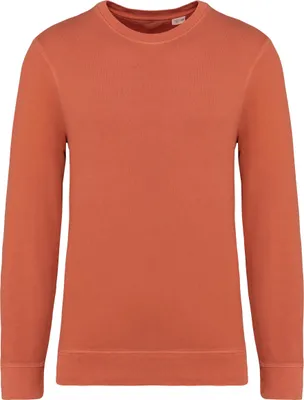 Produktbild von Native Spirit Umweltfreundliches Uni Sweatshirt mit Rundhalsausschnitt aus French Terry