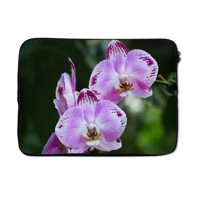 Produktbild von MuchoWow® Laptop Hülle 14 ZollBlühende Orchideen Laptoptasche - Laptoptasche - Stoßsicher - Schutzhaube