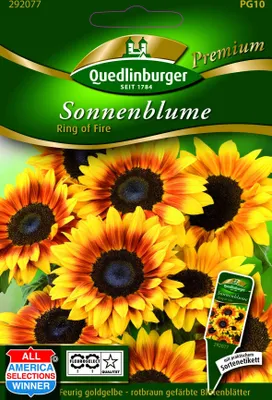 Produktbild von Sonnenblumen Ring of Fire | Sonnenblumensamen von Quedlinburger