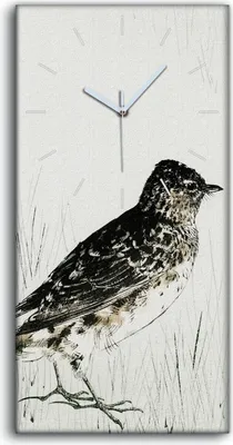Produktbild von Wandkunst Leinwand Bild Uhr Quarz 30x60 Malerei Asiatische Tier Vogel Kunst - weiße Hände