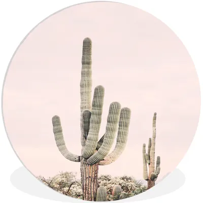Produktbild von MuchoWow® Rundes Wandbild - Runde Bilder Kaktus - Grün - Natur - Pflanzen Ø 90 cm Kreis Wanddekoration Kunststoff - Wandkreis - Wandschmuck - Wand-Kreis - Wohnzimmer - Bild - Runde - Wanddeko - Dibond - Kunstdrucke