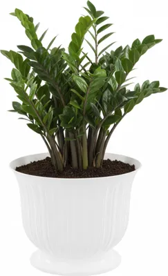 Zdjęcie produktu dla Doniczka miska osłonka Ø 21 cm H 17 cm okrągła biała na nóżce żłobienia