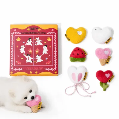 Produktbild von Funny Fuzzy Hundespielzeug Limited Pet Toy Box – 6 Plüsch-Squeaker, Festtags-Edition 2026
