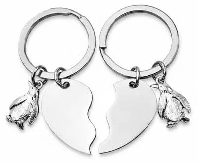 Produktbild von Dripio - Pinguïn Schlüsselanhänger-Set - Edelstahl - Silber, KI-generiertes Bild