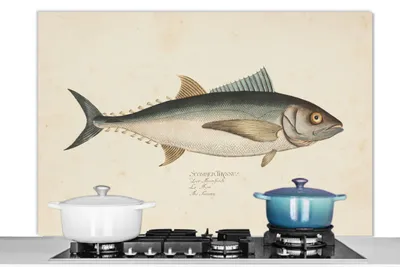 Produktbild von KitchenYeah®  Spritzschutz Küche - Küchenrückwand - Wandschutz für Herd und Spüle - Eine alte Illustration eines Fisches 120x80 - Alu-Dibond (Alternative zum Spritzschutz aus Glas) - Hitzebeständig -