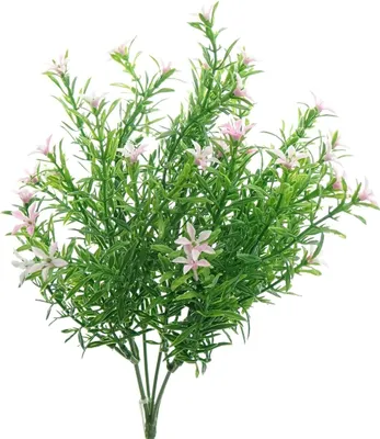 Produktbild von GASPER Sternblütenbusch Rosa 33 cm - Kunstpflanzen